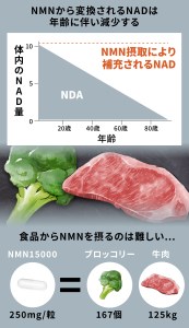 100年時代応援サプリ　NMN15000×5か月分 10-010　NMN 健康  維持  若々しく サプリ エネルギッシュ 酵素 酵母 伊豆