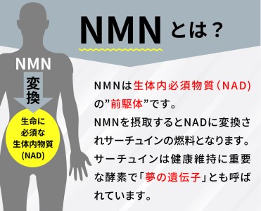 100年時代応援サプリ　NMN15000×12か月分　伊豆 サプリ 若々しい NMB サプリメント NAD 