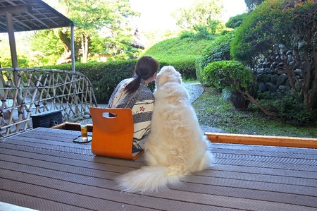 【本格会席と源泉の湯 修善寺絆+】 宿泊補助券 240,000円分 宿泊 観光