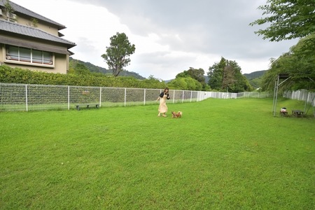 【本格会席と源泉の湯 修善寺絆+】 宿泊補助券 240,000円分 宿泊 観光