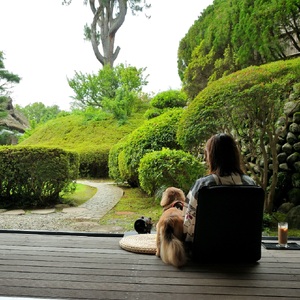 修善寺絆+愛犬と記念日を祝う 離れ特別室「わんこ会席」プラン 選べるお祝いオプションとお祝い用ワイン付 1頭2名様ご宿泊券