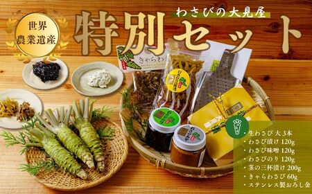 【わさびの大見屋】わさび特別セット　