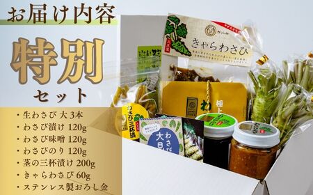 【わさびの大見屋】わさび特別セット　