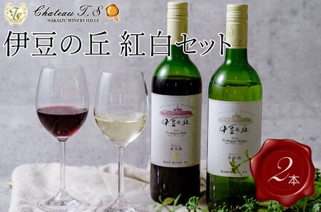 ワイン【中伊豆ワイナリー】伊豆ワイン紅白セット ワイン レッド ホワイト 伊豆市 果実酒 ワイン 015-004