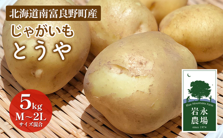 北海道 南富良野町 じゃがいも「とうや」5kg(M～2Lサイズ混合) じゃがいも ジャガイモ とうや 野菜 やさい