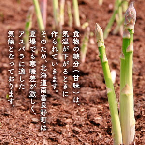 【2026年春配送】北海道南富良野町 アスパラ 1kg MLサイズ 混合 トマト農家 鳥羽農園の作る 新鮮 野菜 産地直送 甘い ジューシー ふるさと納税 送料無料