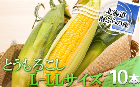 南ふらの産朝採りとうもろこし(イエロー)15本【L-LL】
