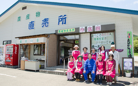 南ふらの産 じゃがいも きたあかり 約10kg【サイズ混合】 北海道 南富良野町 じゃがいも ジャガイモ キタアカリ 北あかり 2025年発送 先行予約 ポテト