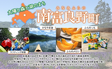 エゾ鹿肉ソフトジャーキー50袋セット 北海道 南富良野町 エゾシカ 鹿 鹿肉 ジャーキー ソフトジャーキー おつまみ おやつ 加工食品 お肉 