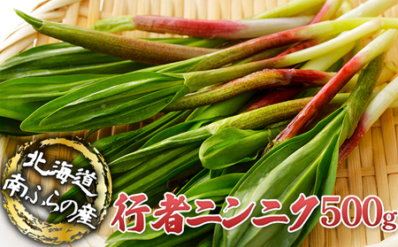 【産地直送!】行者ニンニク 500g 北海道南富良野町