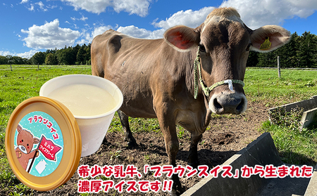 【卵不使用・無添加】ブラウンアイス（100ml）6個セット 北海道 南富良野町 アイス アイスクリーム デザート 無添加 バニラアイス バニラ お菓子 スイーツ ひんやり おやつ 夏 なめらか 濃厚 コク クリーミー しっかりした甘さ 