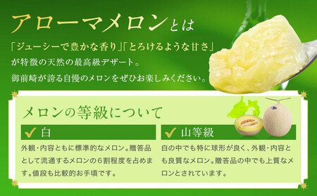 御前崎市産アローマメロン（山等級）1玉入り