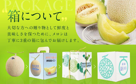 御前崎市産アローマメロン（山等級）1玉入り