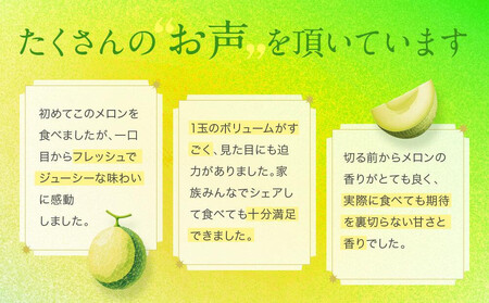 御前崎市産アローマメロン（山等級）1玉入り