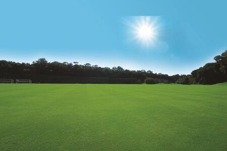 静岡カントリー浜岡コース【天然芝グランドNEXTAフィールド1日利用券】【サッカー】
