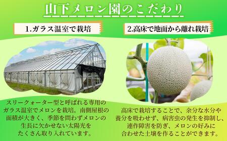 静岡温室メロン M玉1玉約1.4kg 最高級のマスクメロン 山下メロン園 高級果実店に仕入るほどの自信のあるメロン ギフト メロン めろん 箱詰め フルーツ 果物 産地直送 甘いメロン 糖度 青肉 高級 百貨店