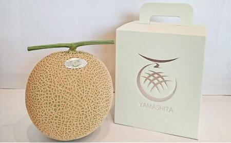 静岡温室メロン M玉1玉約1.4kg 最高級のマスクメロン 山下メロン園 高級果実店に仕入るほどの自信のあるメロン ギフト メロン めろん 箱詰め フルーツ 果物 産地直送 甘いメロン 糖度 青肉 高級 百貨店