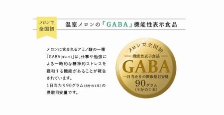 静岡アローマメロン　白級　1.3kg前後　6個セット