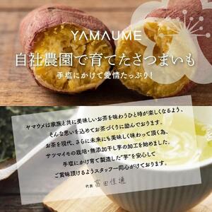 お芋のバスクチーズケーキ 5号(約540g)