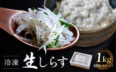 冷凍生しらす　1kg（100g × 10）静岡県御前崎産  生しらす丼 10杯分 小分け 個包装 便利 大容量 徳用 海鮮丼  使いやすい食べきりサイズ どんぶり 刺身 おつまみ おかず 惣菜 晩ごはん