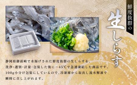 冷凍生しらす　1kg（100g × 10）静岡県御前崎産  生しらす丼 10杯分 小分け 個包装 便利 大容量 徳用 海鮮丼  使いやすい食べきりサイズ どんぶり 刺身 おつまみ おかず 惣菜 晩ごはん