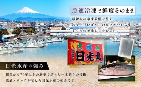 冷凍生しらす　1kg（100g × 10）静岡県御前崎産  生しらす丼 10杯分 小分け 個包装 便利 大容量 徳用 海鮮丼  使いやすい食べきりサイズ どんぶり 刺身 おつまみ おかず 惣菜 晩ごはん