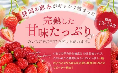 【2026年度 先行予約】 農家直送！静岡いちご　DX　糖度13～14度　1100g 程度（270～280g×4パック）甘くて地元大人気！やみつきリピーター多数　御前崎産　数量限定