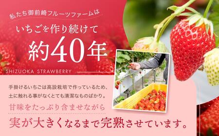【2026年度 先行予約】 農家直送！静岡いちご　DX　糖度13～14度　1100g 程度（270～280g×4パック）甘くて地元大人気！やみつきリピーター多数　御前崎産　数量限定