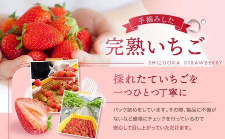 【2026年度 先行予約】 農家直送！静岡いちご　DX　糖度13～14度　1100g 程度（270～280g×4パック）甘くて地元大人気！やみつきリピーター多数　御前崎産　数量限定