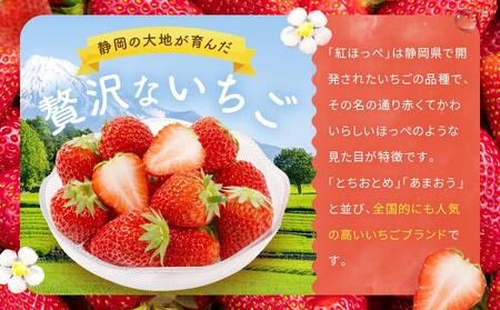 先行受付（2025年１月中旬以降発送）2Lサイズ　 静岡いちご「紅ほっぺ」40粒（20粒×2トレイ） 数量限定　人気　リピート多数