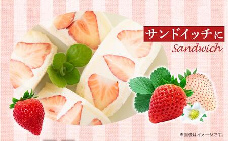 先行受付【2026年2月中旬以降発送予定】「かおりの」大粒　満足セット 約1kg　農家直送！　数量限定