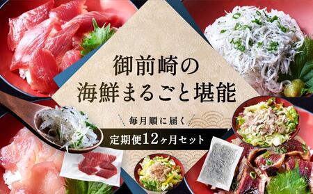 【全12回】御前崎の海鮮まるごと堪能　毎月届く　定期便１２か月セット