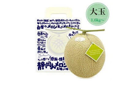 【ふるなびWEEK対象】【限定企画商品】静岡人 × 山下メロンの最高級のマスクメロン 1玉 Ｌ玉1.6kg～1.7kg  静岡温室メロン「バカうまいメロン」「自慢のメロンを届けたい！！」　高級果実店に仕入れるほどの自信のあるメロン  ギフト  メロン めろん 箱詰め フルーツ 果物  産地直送 甘いメロン 糖度 青肉 FN-Limited-PR