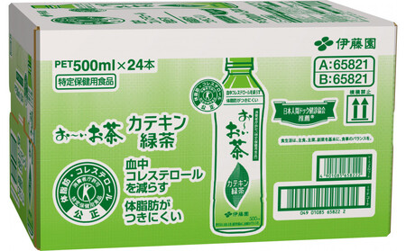 【定期便3ヶ月】お~いお茶 カテキン緑茶500ml 24本セット 【特定保健用食品】