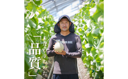 『組合直送』アローマメロン1.3kg 1玉