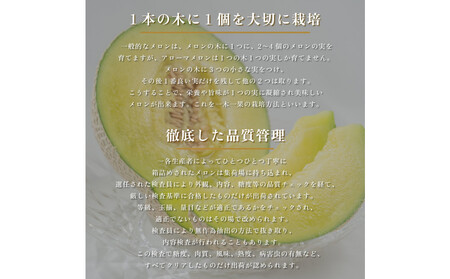 『組合直送』アローマメロン1.3kg 2玉