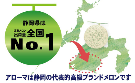 【6ヶ月定期便】静岡県産高級『アローマメロン』　小玉1玉