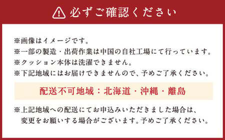 整体院の先生がおすすめする お尻フィット クッション 背もたれ 座布団 椅子 背中 腰痛 骨盤 骨盤サポート デスクワーク