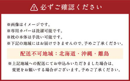 整体院の先生がおすすめする 枕 ソフトパイプ まくら マクラ 寝具 枕カバー 横向き 洗濯可能 手洗い 洗える 熟睡 睡眠 快眠 安眠