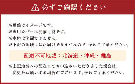 整体院の先生がおすすめする 枕 頸椎安定 まくら マクラ 寝具 枕カバー 横向き 寝具 睡眠 快眠 安眠 快適 熟睡