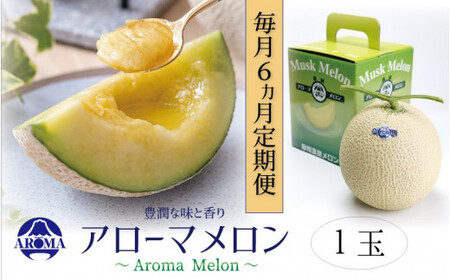 【6ヶ月定期便】静岡県産 高級 アローマメロン 白等級1玉 約1.0kg以上×1玉×6回 計約6.0kg以上 化粧箱入 果物 フルーツ メロン めろん 青肉 高級ブランドメロン ブランドメロン 高級メロン 贈答 6,480円
