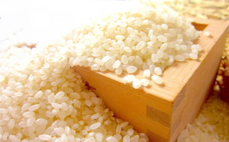 自然栽培米 純米酒 『 穂の穂 』 1.8L × 2本  合計 3.6Lお酒 日本酒 酒 地酒 静岡