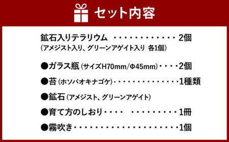 【苔テラリウム】 鉱石入り テラリウム 2つセット 【インテリア】 育て方のしおり 付き 植物 テラリウム 苔テラリウム 苔 こけ コケ セット