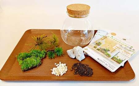 【手づくりキット】 丸型グラス 苔テラリウム 【インテリア】 説明書 付き 植物 テラリウム 苔テラリウム 苔 こけ コケ 手作り ハンドメイド セット