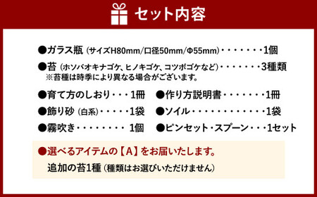 【A：追加の苔1種】 おうちで作ろう♪ 苔テラリウム 手づくりキット 小瓶 選べるアイテム 【おうち時間】【インテリア】 育て方のしおり 付き 植物 テラリウム 苔テラリウム 苔 こけ コケ 手作り ハンドメイド セット
