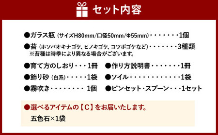 【C：五色石×1袋】 おうちで作ろう♪ 苔テラリウム 手づくりキット 小瓶 選べるアイテム 【おうち時間】【インテリア】 育て方のしおり 付き 植物 テラリウム 苔テラリウム 苔 こけ コケ 手作り ハンドメイド セット