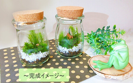 【D：飾り砂（ブルー系）×1袋】 おうちで作ろう♪ 苔テラリウム 手づくりキット 小瓶 選べるアイテム 【おうち時間】【インテリア】 育て方のしおり 付き 植物 テラリウム 苔テラリウム 苔 こけ コケ 手作り ハンドメイド セット