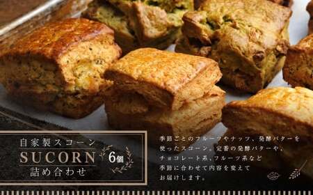 自家製 スコーン 詰め合わせ 100g × 6個入り フルーツ ナッツ バター 洋菓子 お菓子 おかし 焼き菓子 焼菓子 スイーツ 手作り セット