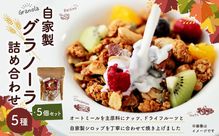 自家製グラノーラ 5種 詰め合わせ 100g×5個入り 計500g グラノーラ プレーン 菊川茶 コーヒー スパイス チョコレート オートミール シリアル 朝食 おやつ お菓子 スイーツ セット