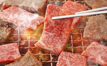 遠州夢咲牛 ロース 焼肉用 約450g×1パック 【ブランド牛】 お肉 肉 牛肉 和牛 焼肉 冷蔵 BBQ バーベキュー 焼き肉 焼き肉用